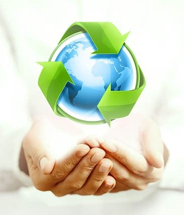 tierra-medio-conservacion